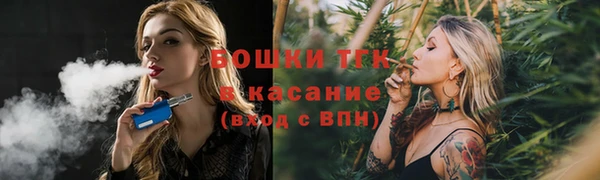 PSILOCYBIN Козловка