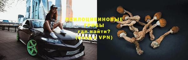 PSILOCYBIN Козловка