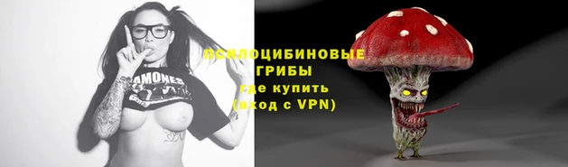 PSILOCYBIN Козловка