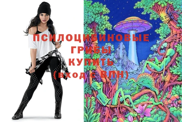 не бодяженный Козельск