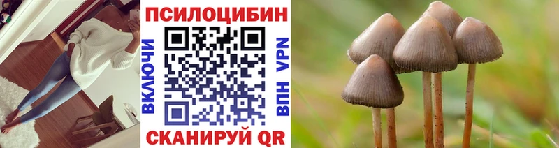 Псилоцибиновые грибы Cubensis  гидра вход  Озёрск 